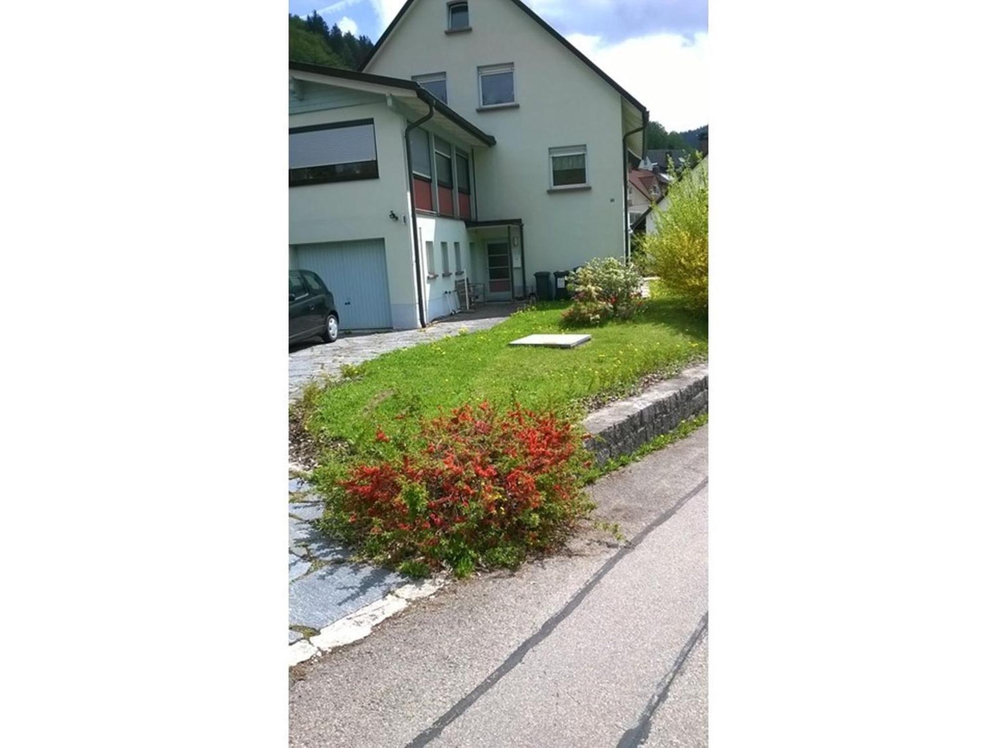 Haus Marion Leilighet Todtnau Eksteriør bilde