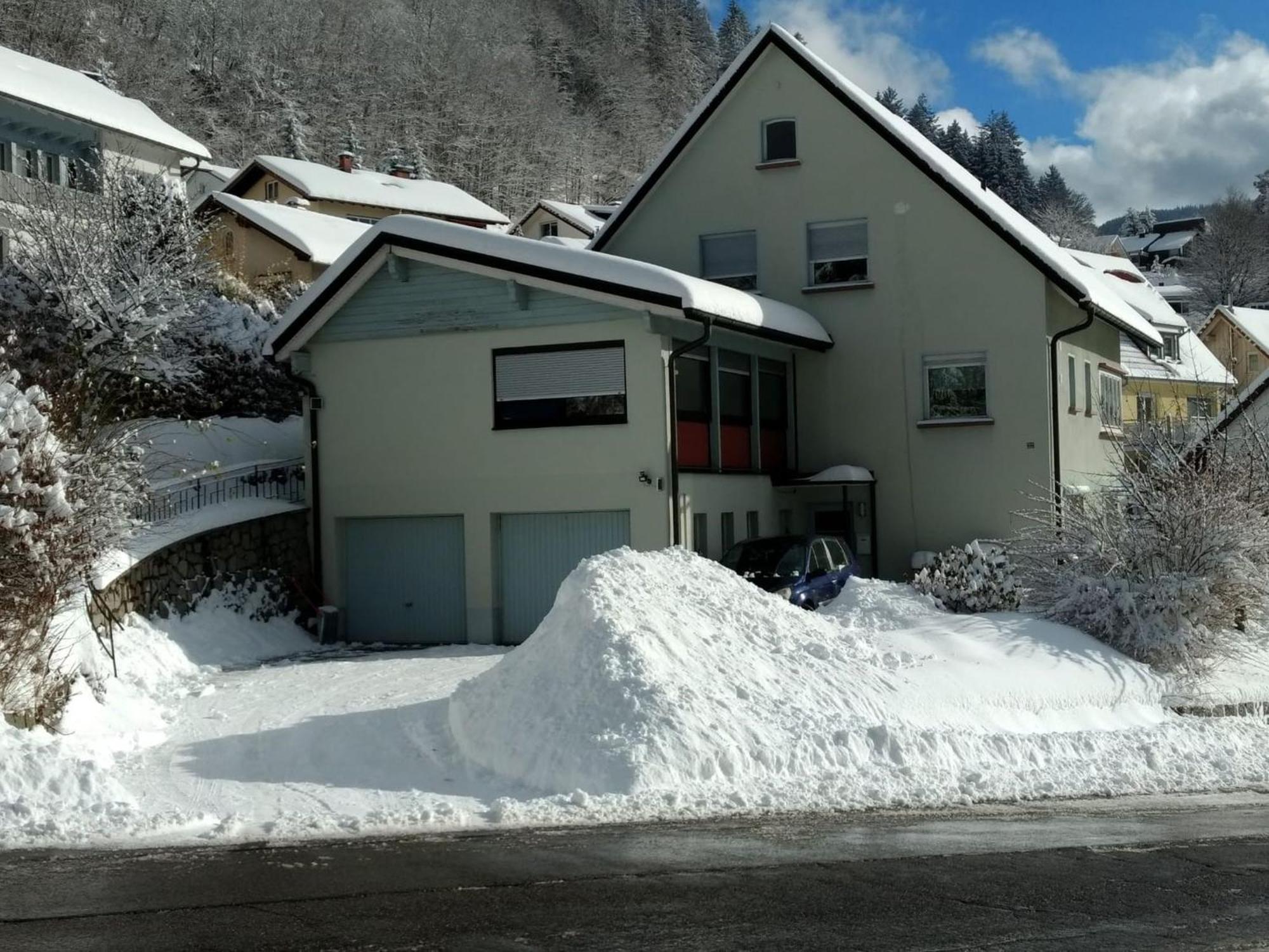 Haus Marion Leilighet Todtnau Eksteriør bilde